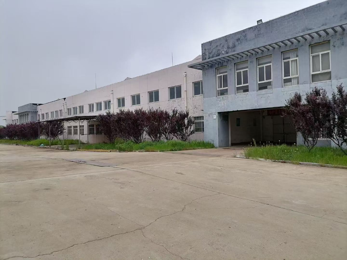 文登区厂房出租