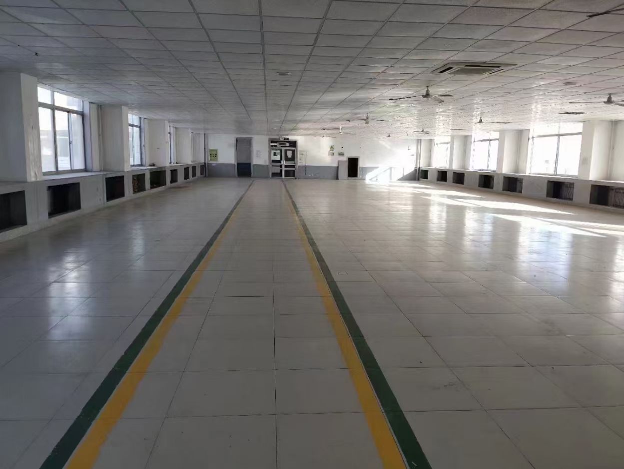文登区厂房出租